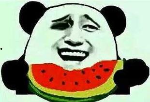 吃不吃娱乐圈的瓜